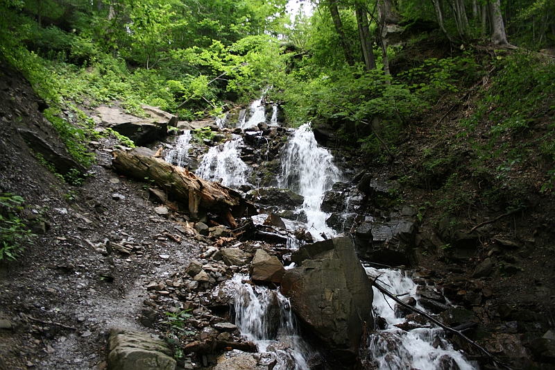 Original image